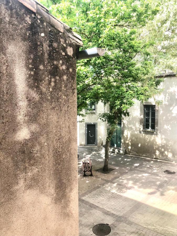 Les Florentines قرقشونه المظهر الخارجي الصورة
